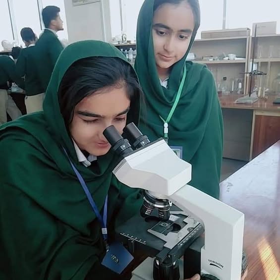 Olive Green students using a microscope in the science lab